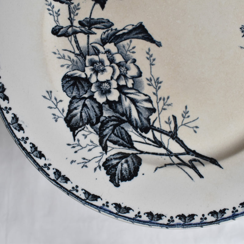 Antique Plate - U&C Sarreguemines "Carmen B"