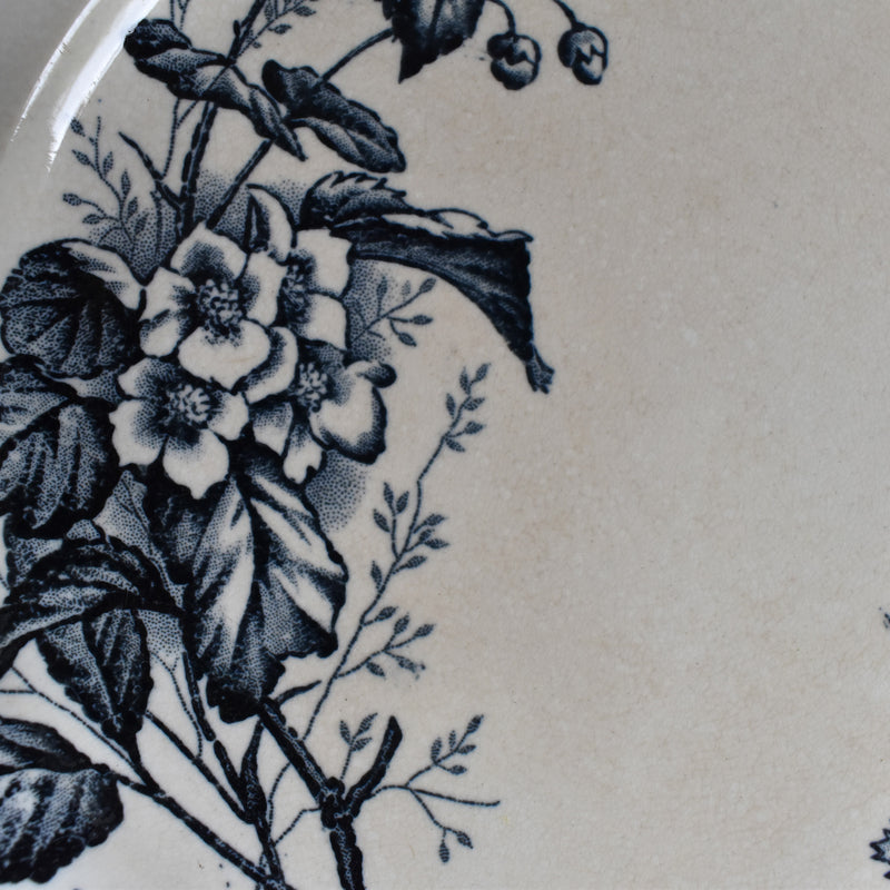 Antique Plate - U&C Sarreguemines "Carmen B"