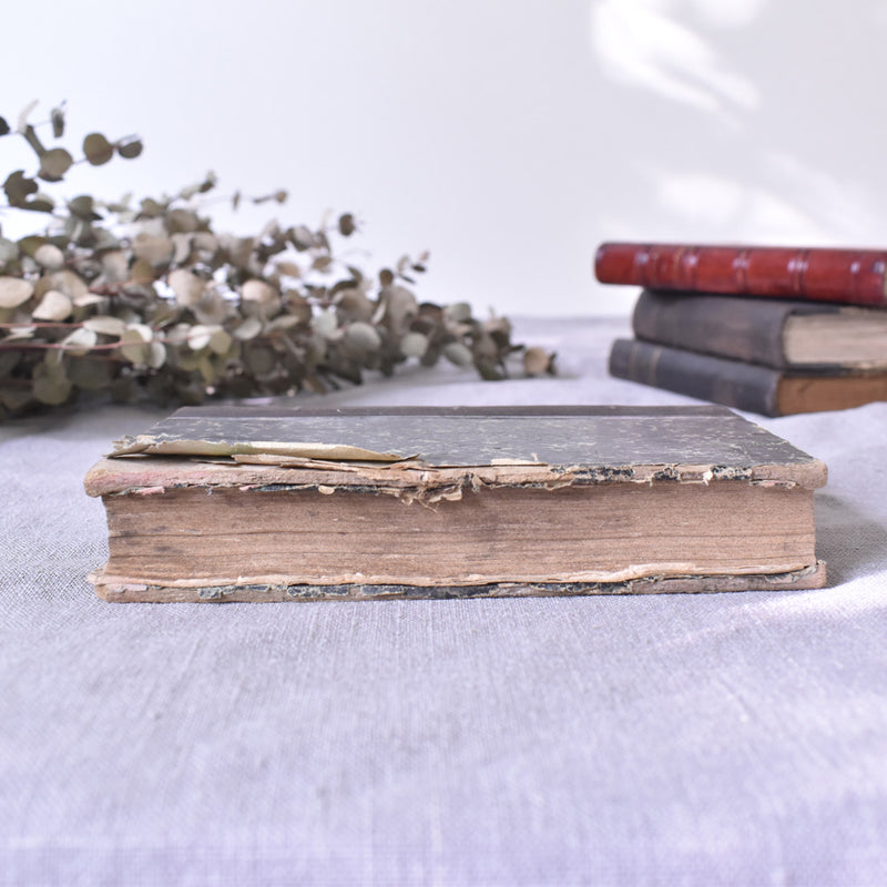 Antique book "L'affaire Scapin"