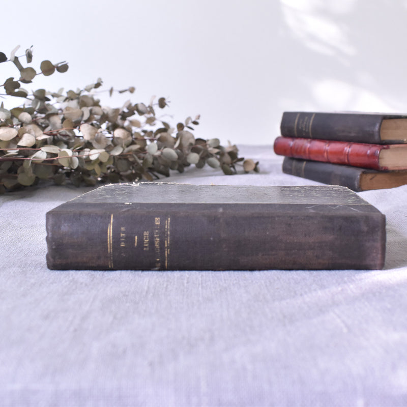 Antique book: "Lucie de Courseulles"