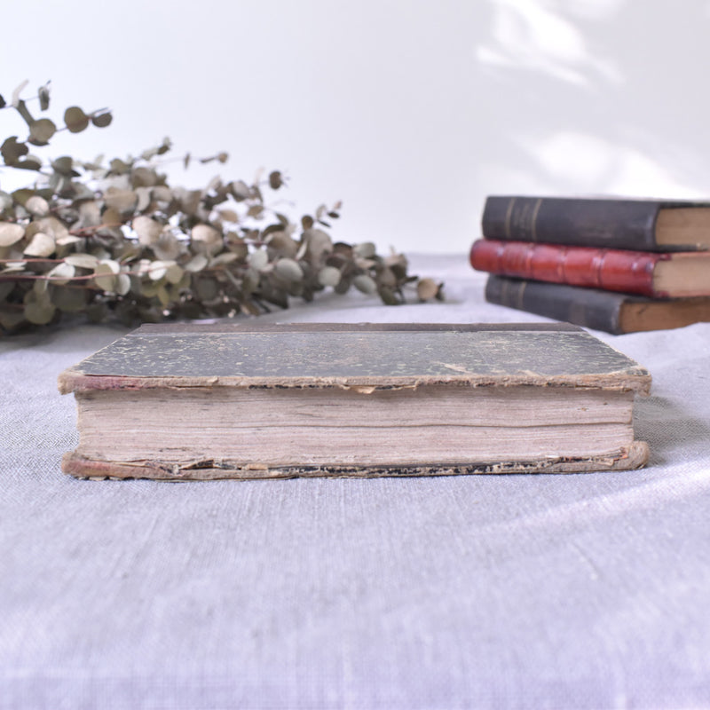 Antique book: "Lucie de Courseulles"