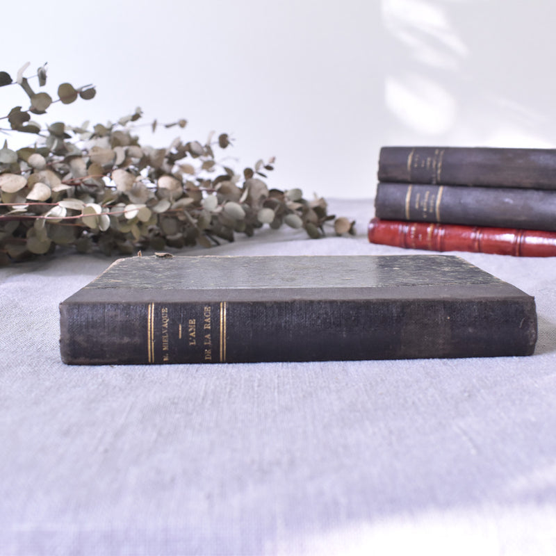 Antique Book "L'âme de la Race"