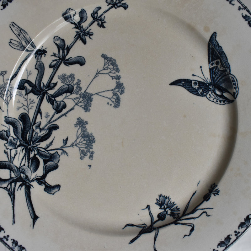Antique Plate - U&C Sarreguemines Carmen C