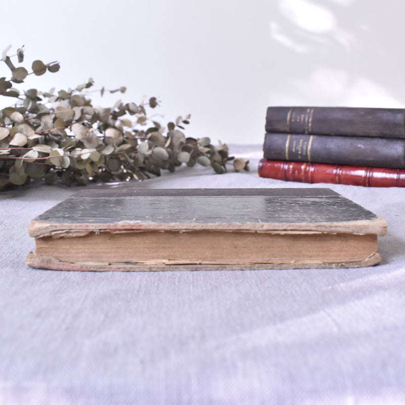 Antique Book "L'âme de la Race"