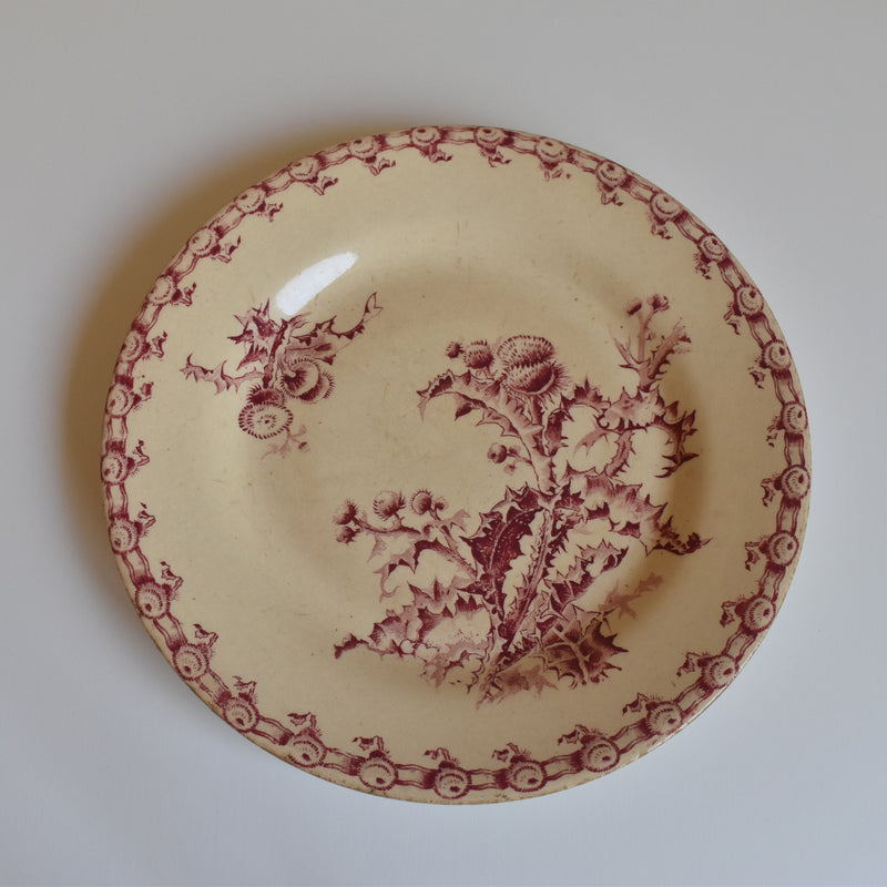 Antique Plate Gien Chardons (Thistle)