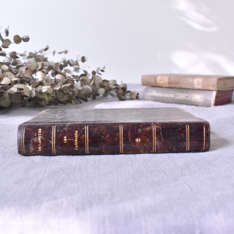 Antique Book "Les Camisards"