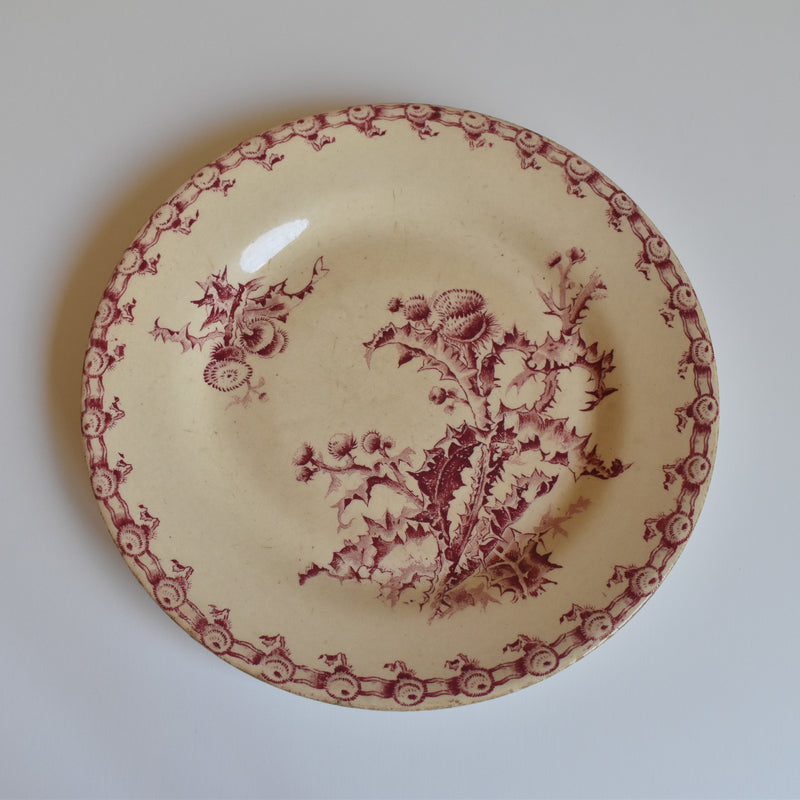 Antique Plate Gien Chardons (Thistle)