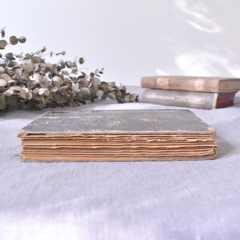 Antique Book "Les Camisards"