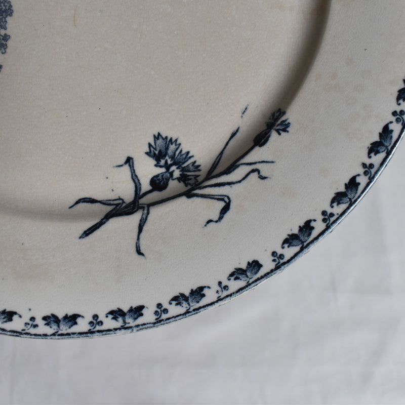 Antique Plate - U&C Sarreguemines Carmen C