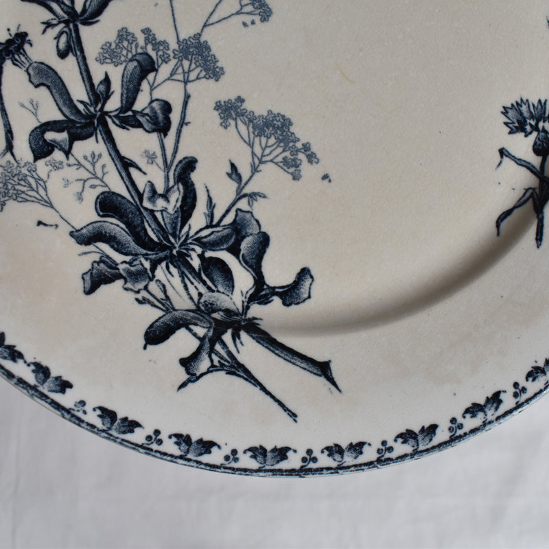 Antique Plate - U&C Sarreguemines Carmen C