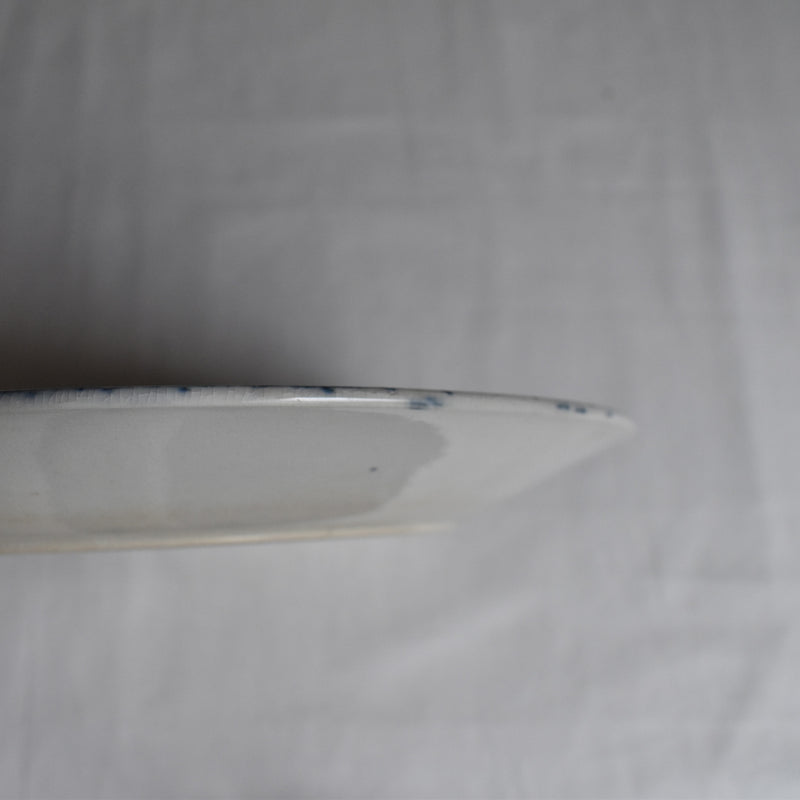 Antique Plate - U&C Sarreguemines Carmen C