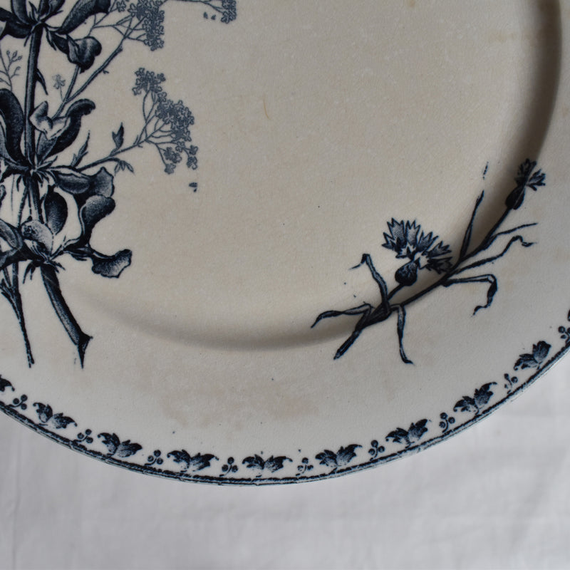 Antique Plate - U&C Sarreguemines Carmen C