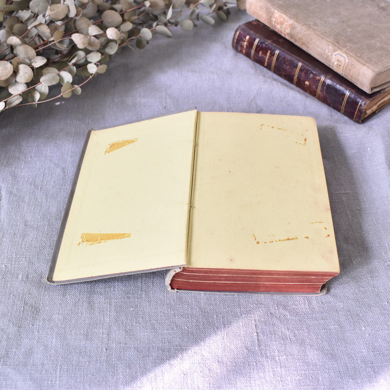 Antique book "Manuel du Baccalauréat"