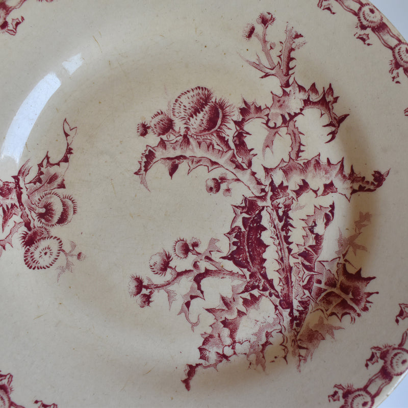 Antique Plate Gien Chardons (Thistle)