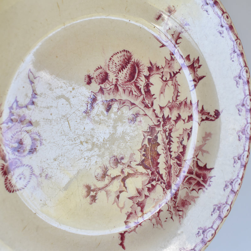 Antique Plate Gien Chardons (Thistle)