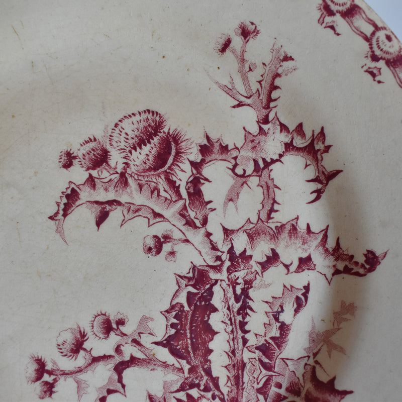 Antique Plate Gien Chardons (Thistle)