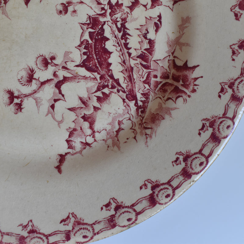 Antique Plate Gien Chardons (Thistle)