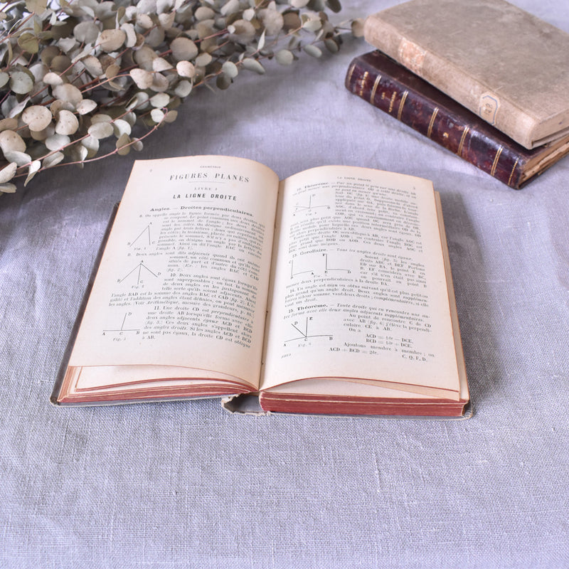 Antique book "Manuel du Baccalauréat"