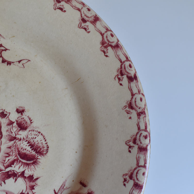 Antique Plate Gien Chardons (Thistle)