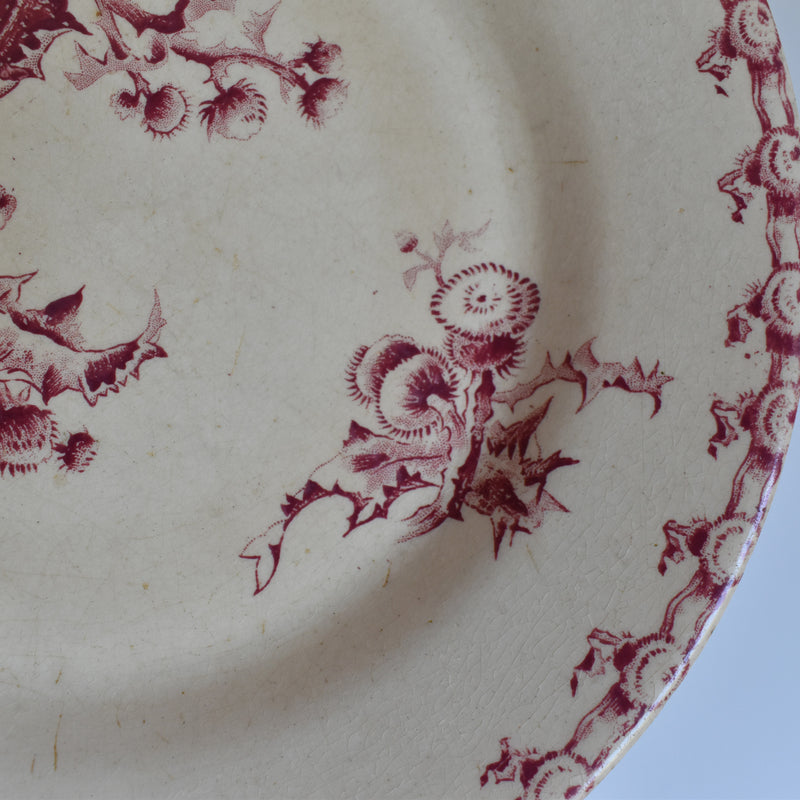 Antique Plate Gien Chardons (Thistle)