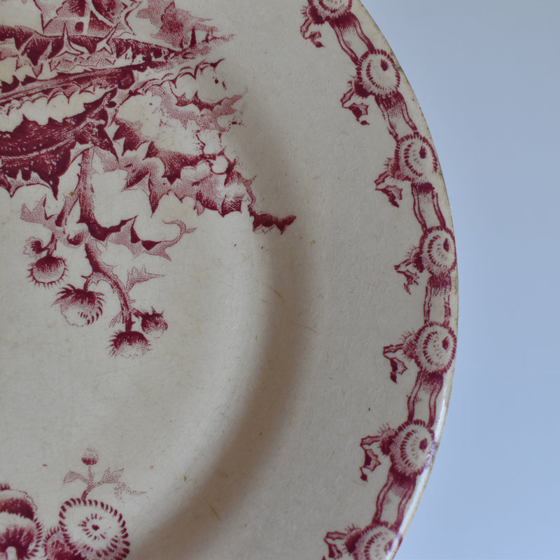 Antique Plate Gien Chardons (Thistle)