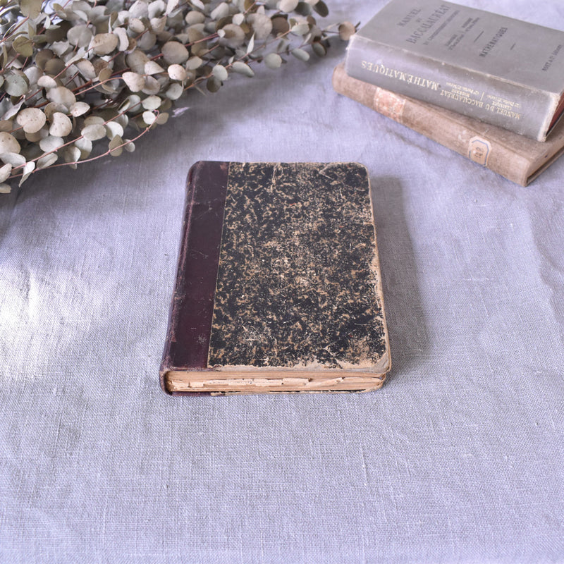 Antique Book "Les Camisards"