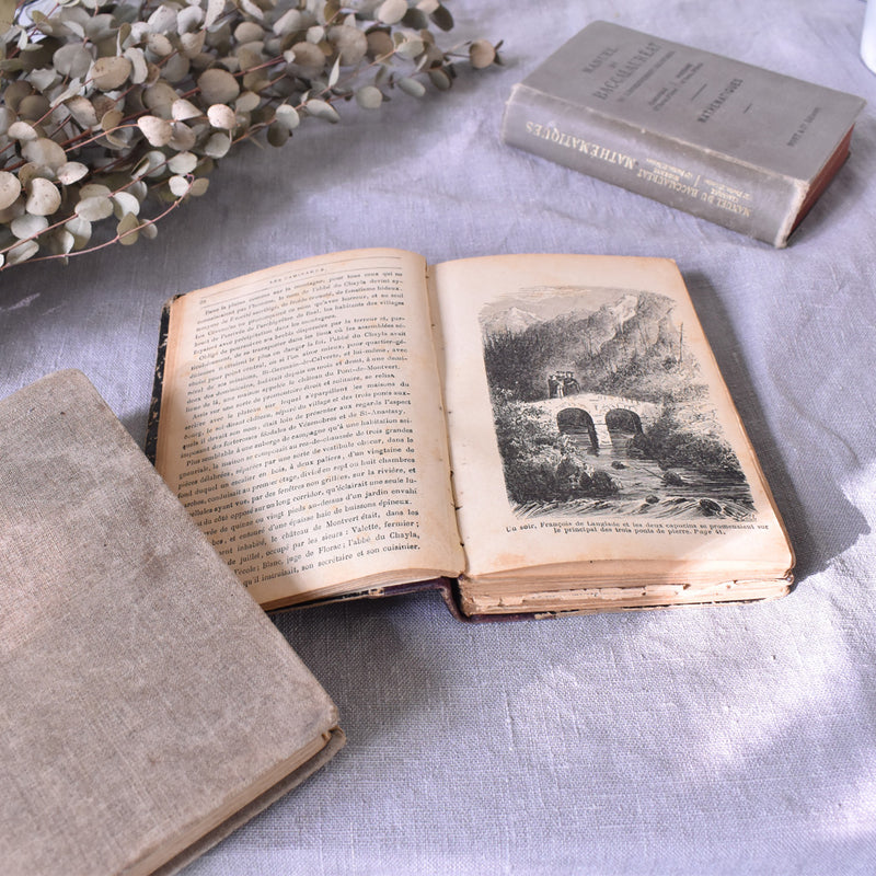Antique Book "Les Camisards"