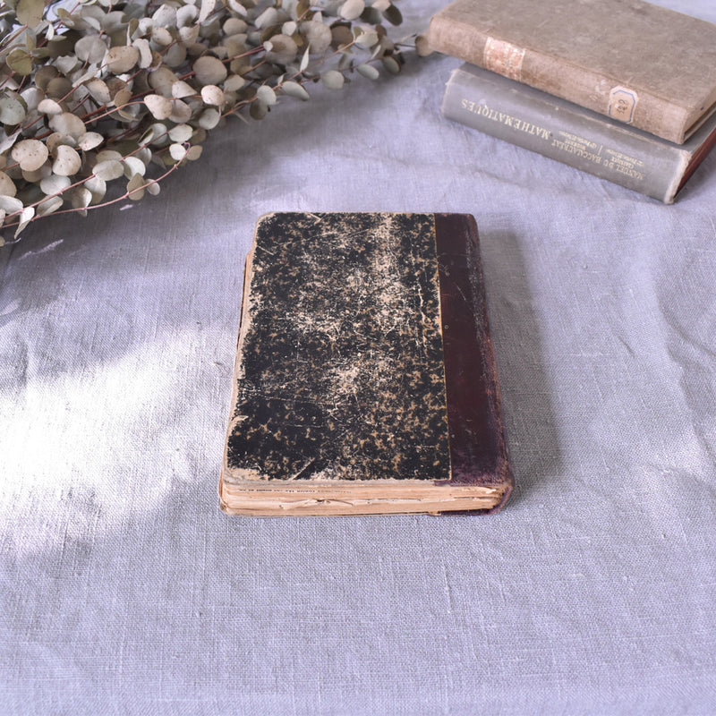 Antique Book "Les Camisards"