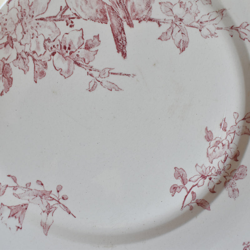 アンティークプレート サルグミンヌ Favori （赤）