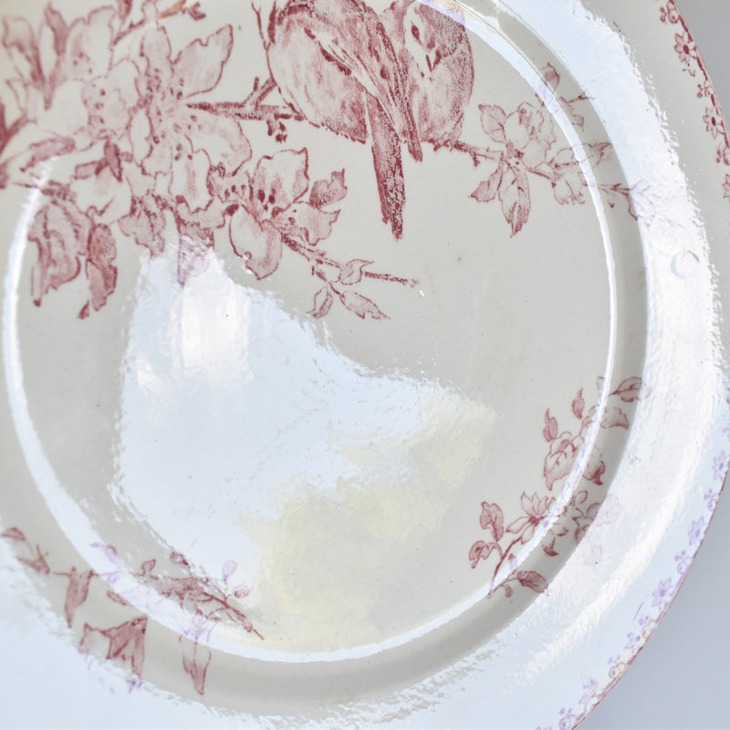 アンティークプレート サルグミンヌ Favori （赤）