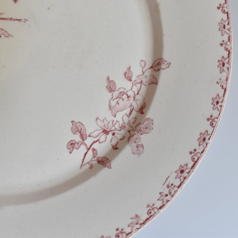 アンティークプレート サルグミンヌ Favori （赤）