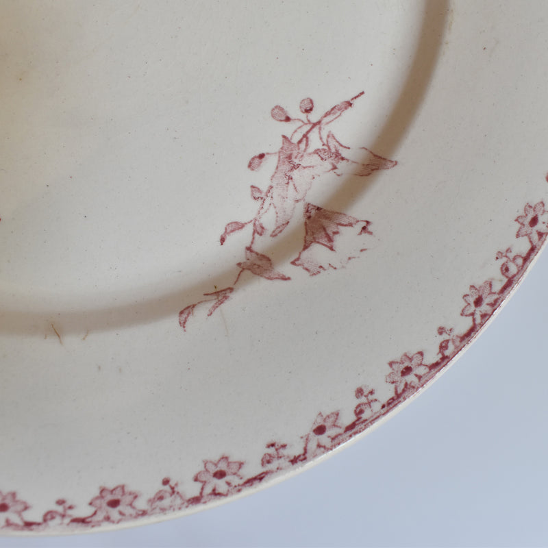 アンティークプレート サルグミンヌ Favori （赤）