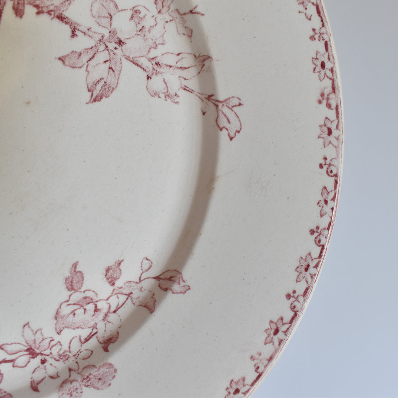 アンティークプレート サルグミンヌ Favori （赤）