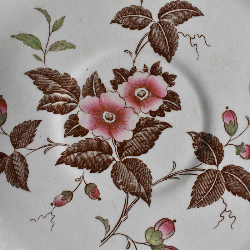 Antique Saucer Boch Frères (B.F.) Fleurs
