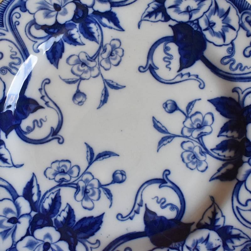 Antique Plate, Creil et Montereau, Flora