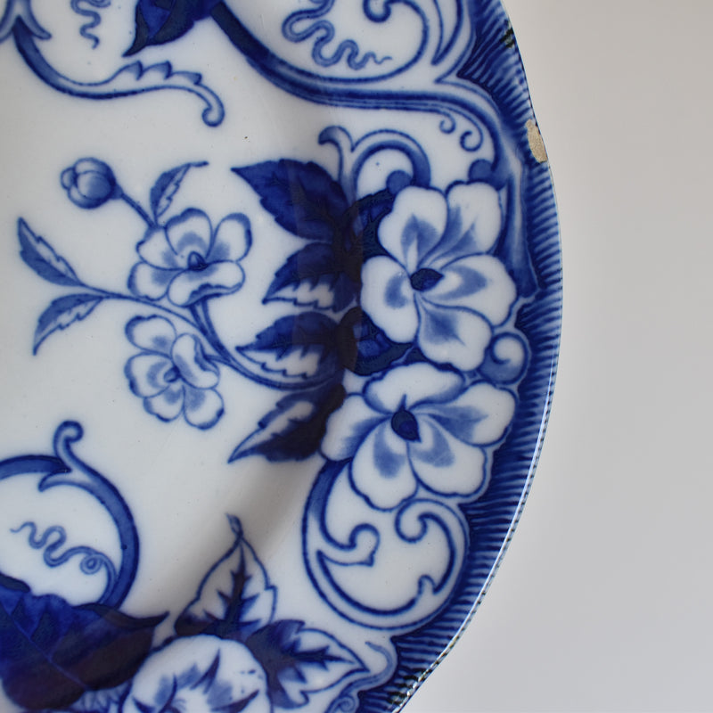 Antique Plate, Creil et Montereau, Flora