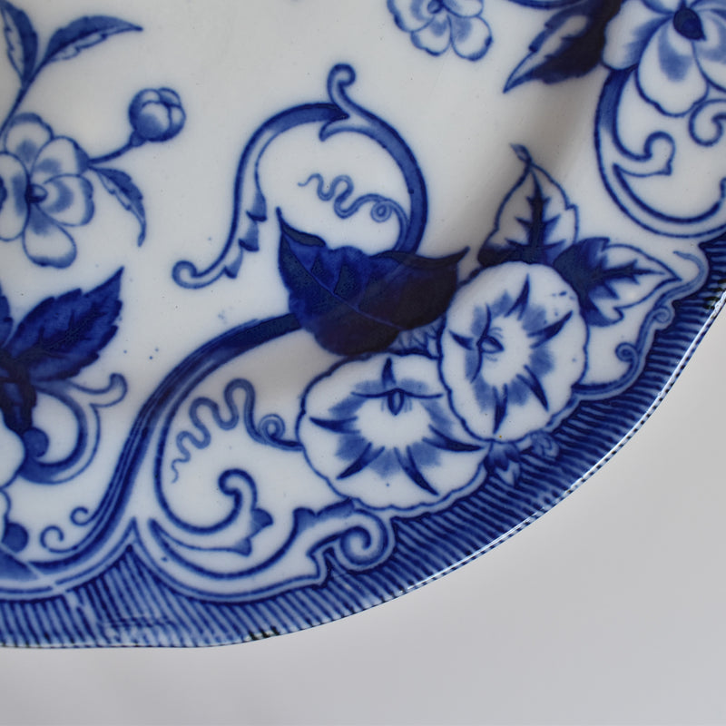Antique Plate, Creil et Montereau, Flora