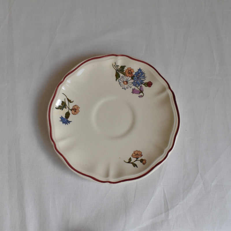 Vintage Cup & Saucer Digoin & Sarreguemines Agreste