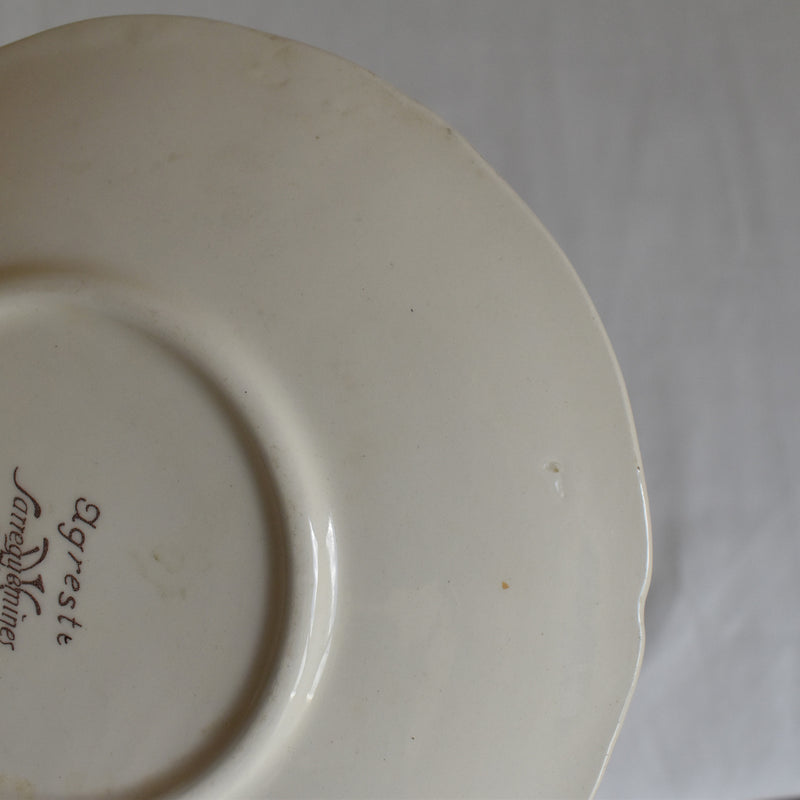 Vintage Cup & Saucer Digoin & Sarreguemines Agreste