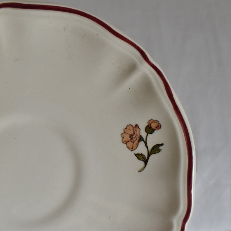 Vintage Cup & Saucer Digoin & Sarreguemines Agreste