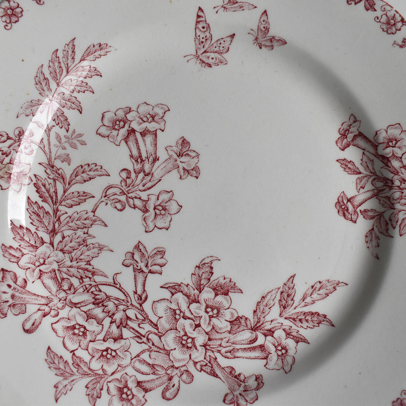 Antique dessert plate, Saint-Amand Denise