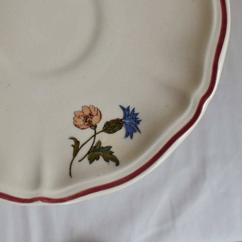 Vintage Cup & Saucer Digoin & Sarreguemines Agreste
