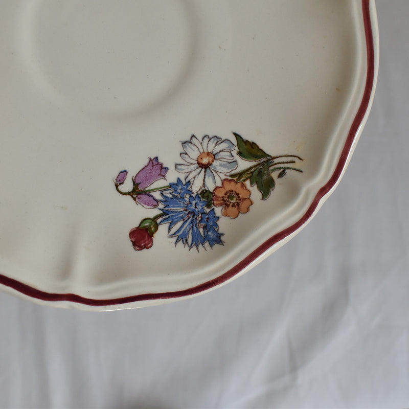 Vintage Cup & Saucer Digoin & Sarreguemines Agreste