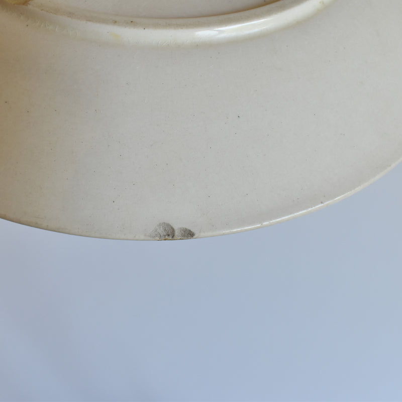 Antique Plate Sarreguemines Royat