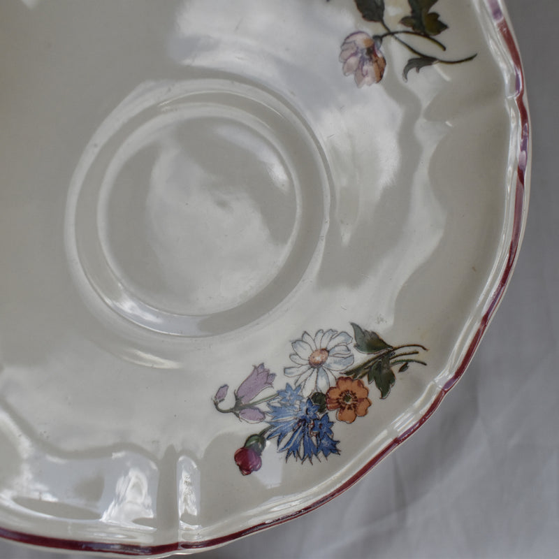 Vintage Cup & Saucer Digoin & Sarreguemines Agreste