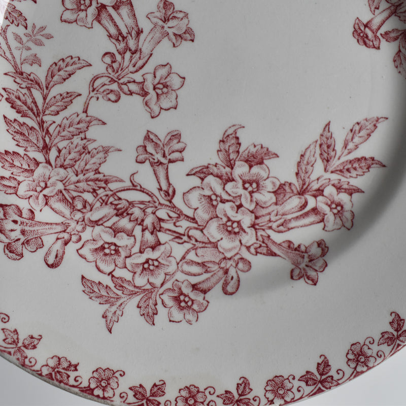 Antique dessert plate, Saint-Amand Denise