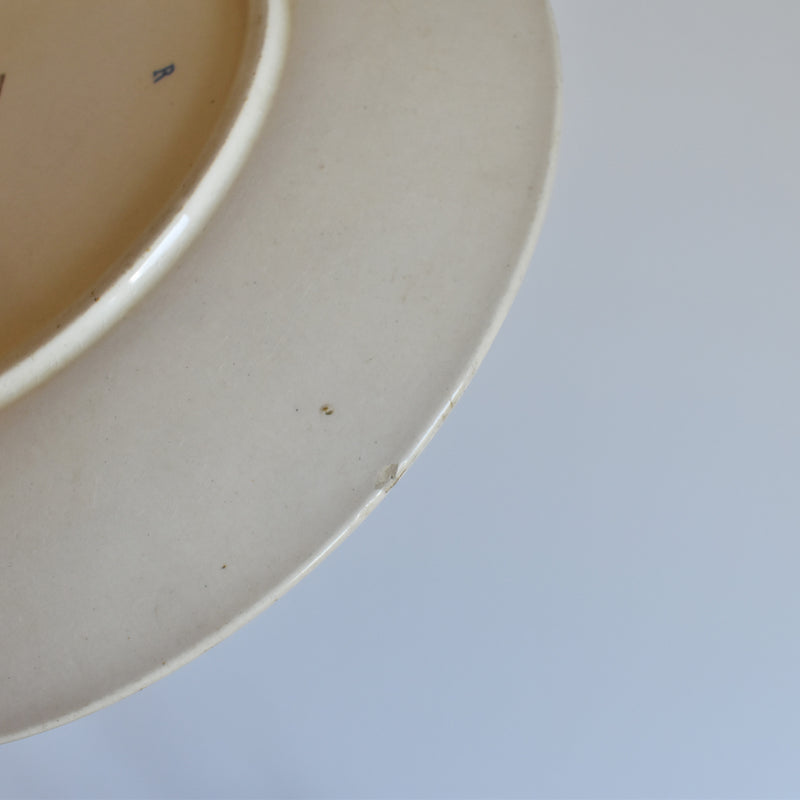 Antique Plate Sarreguemines Royat