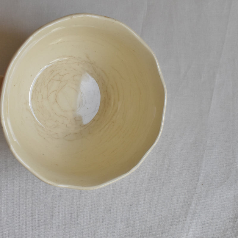 Vintage Cup & Saucer Digoin & Sarreguemines Agreste