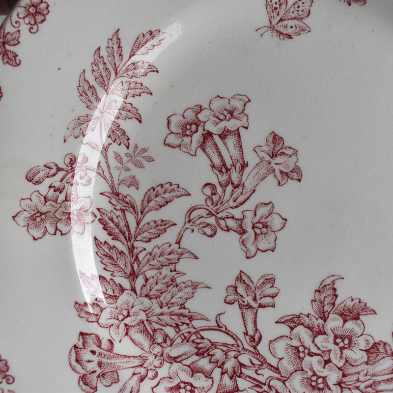 Antique dessert plate, Saint-Amand Denise