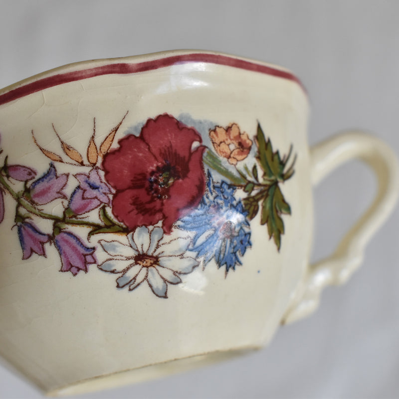 Vintage Cup & Saucer Digoin & Sarreguemines Agreste